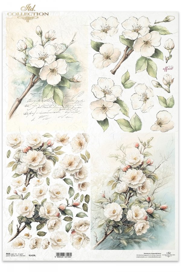 kwiaty 3D, jabłoń*3D flowers, apple tree*3D-Blumen, Apfelbaum*Flores 3D, manzano