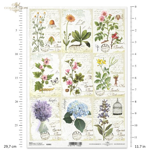 Zielnik, Herbarium, miniatury, miniatura, zioła, kwiaty, ręczne pismo, rumianek, mniszek, dzika róża, lawenda, hortensja, klatka dla ptaków, retro, Herbarium series, miniatures, miniature, herbs, flowers, handwriting, chamomile, dandelion, wild rose