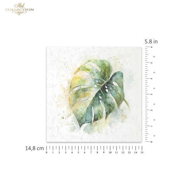 Rice paper set RSM278