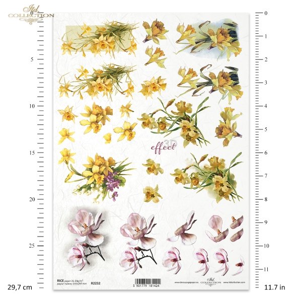 wiosna, wiosenne kwiaty, ogród, żonkil, żonkile, magnolia, magnolie, kwiaty 3D, 3D efekt, spring, spring flowers, garden, daffodil, daffodils, magnolia, magnolias, 3D flowers, 3D effect, Frühling, Frühlingsblumen, Garten, Narzisse