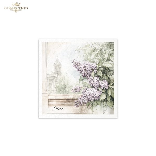 Rice paper set RSM173