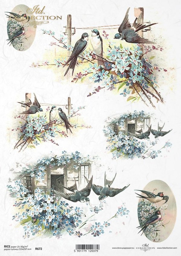ptak, ptaki, jaskółka, jaskółki, kwiaty, wiosna, R672, bird, birds, swallow, flowers, spring, Vogel, Vögel, Schwalbe, Blumen, Frühling, pájaro, golondrina, flores, primavera 