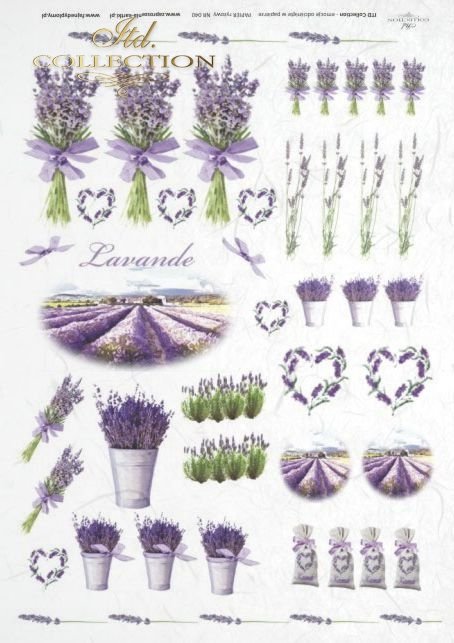 lawenda, lawendowe, bukiet, bukiety, flower, flowers, lavender, bouquets, bouquet, R040