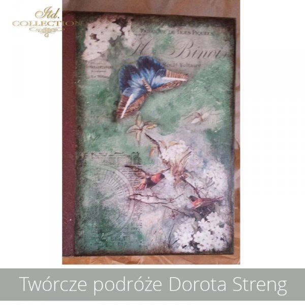20190426-Twórcze podróże Dorota Streng-R0976-example 01