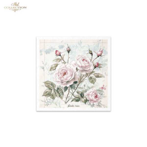 Rice paper set RSM177