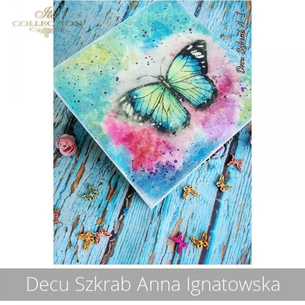 20190824-Decu Szkrab Anna Ignatowska-R1606-R0452L-example 01