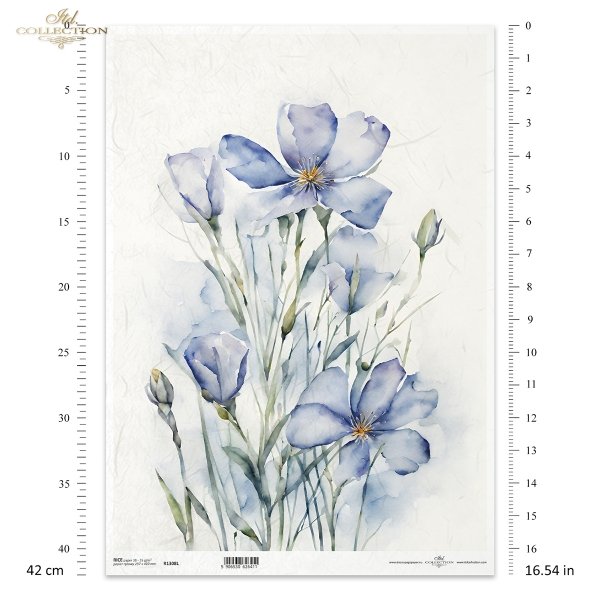 letnie kwiaty, bukiet kwiataów*Summer flowers, flower bouquet*Sommerblumen, Blumenstrauß*Flores de verano, ramo de flores 