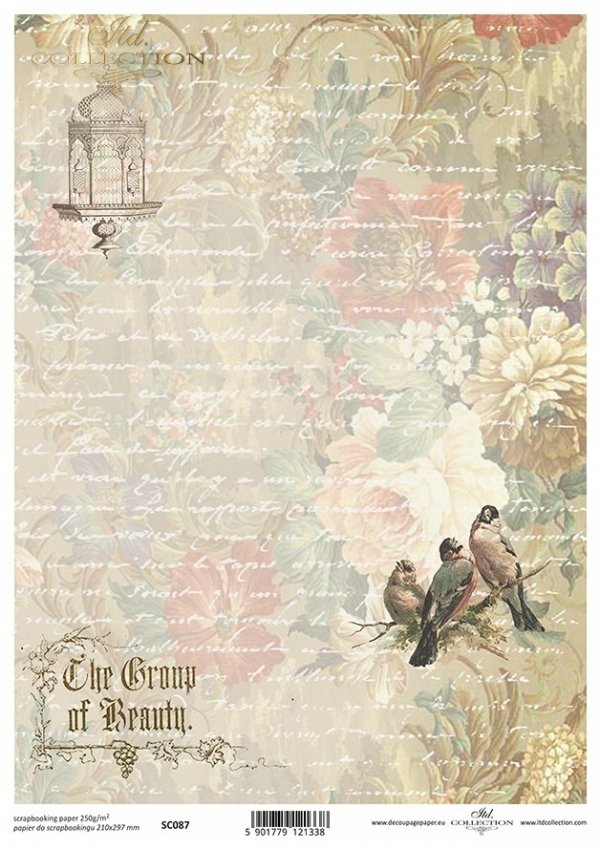 scrapbooking paper SC0087