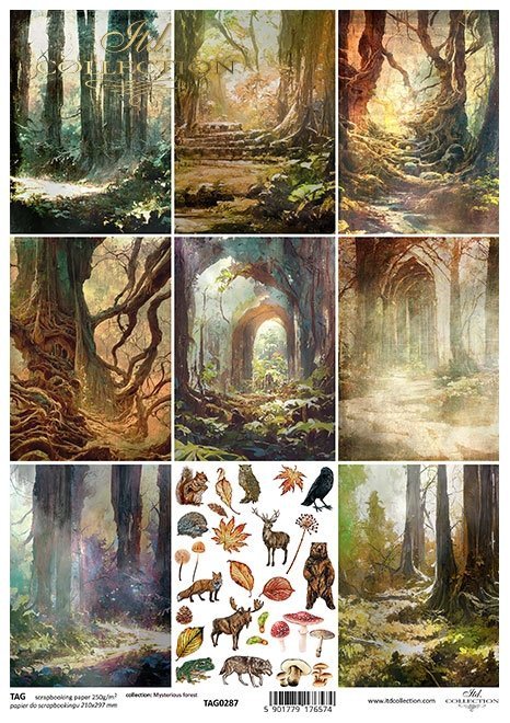 Mysterious forest - tajemniczy las * Mysterious forest * Mysteriöser Wald * Bosque misterioso