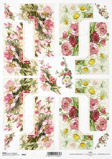 dzika róża, róże, aster, astry, rumianek, lato, łąka, ogród, polne kwiaty, bukiet, R861, wild rose, roses, asters, camomile, summer, meadow, garden, field flowers, bouquet, Wildrose, Rosen, Astern, Kamille, Sommer, Wiese, Garten, Feldblumen, Strauß, rosa 