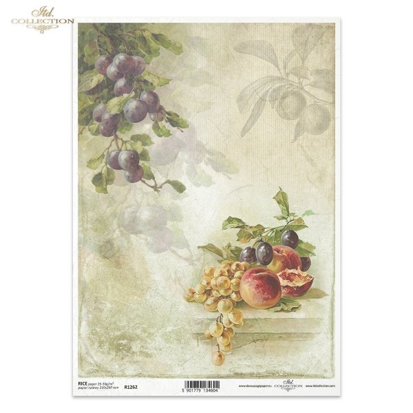 owoce, winogrona, kiść winogron, śliwka, śliwki, brzoskwinia, brzoskwinie, martwa natura, akwarela, akwarele, fruit, light grapes, bunch of grapes, plum, plums, peaches, still life, watercolours, Früchte, Obst
