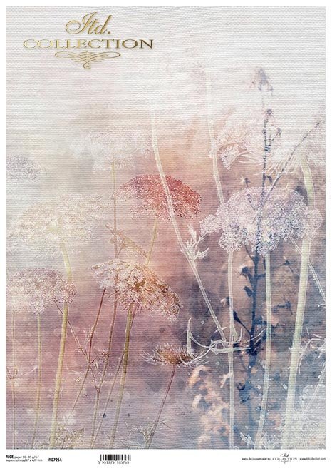 kwiaty polne, trawy, akwarela*field flowers, grasses, watercolour*Feldblumen, Gräser, Aquarell*flores de campo, hierbas, acuarela