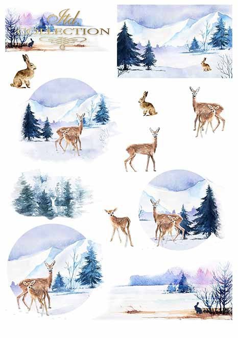 Papiery do scrapbookingu w zestawach - zimowe zwierzęta*Papers for scrapbooking in sets - winter animals