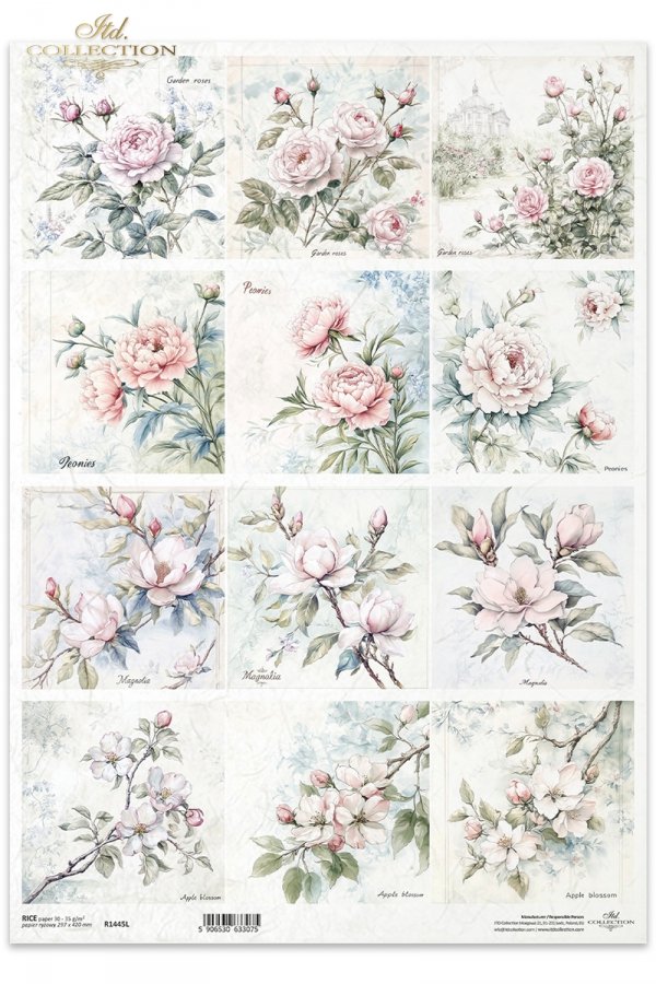 roze, peonie, kwiaty jabloni, magnolia*flowers, roses, peonies, apple blossoms, magnolia*Blumen, Rosen, Pfingstrosen, Apfelblüten, Magnolien*flores, rosas, peonías, manzanos en flor, magnolias