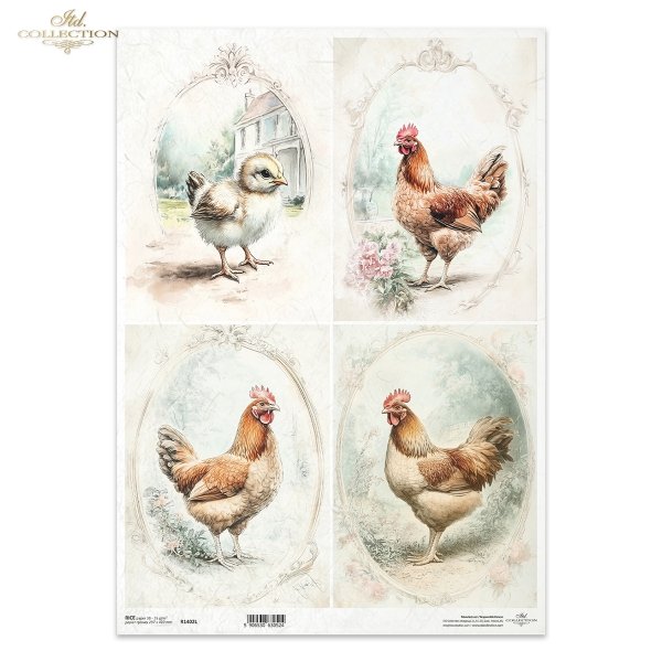kury, kurczaki, wiejskie zwierzęta, wiosenne klimaty, rustykalny styl*chickens, countryside animals, springtime climate, rustic style*Hühner, Tiere auf dem Lande, Frühlingsklima, rustikaler Stil*gallinas, pollos, animales de campo, clima primaveral, estil