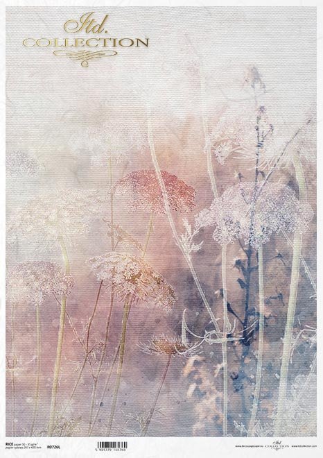 kwiaty polne, trawy, akwarela*field flowers, grasses, watercolour*Feldblumen, Gräser, Aquarell*flores de campo, hierbas, acuarela