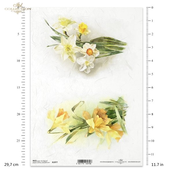 wiosenne kwiaty, żonkil, żonkile, narcyz, narcyzy, bukiet, kwiat, łąka, ogród, wiosna, spring flowers, daffodil, daffodils, narcissus, narcissi, bouquet, flower, meadow, garden, spring, Frühlingsblumen, Narzisse, Narzissen, Strauß, Blume