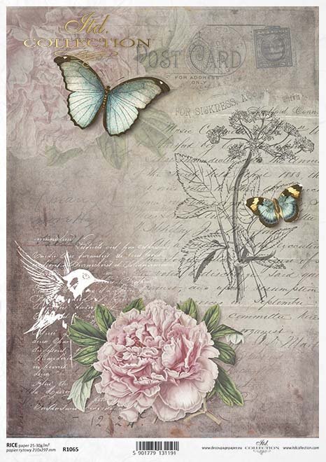 butterfly, background, Insekt, Vogel, Blume, Pfingstrose, Schrift, Postkarte, Handschrift, Kolibri, Schmetterling, Hintergrund, insecto, pájaro, flor, peonía, escritura, tarjeta postal, escritura a mano, colibrí, mariposa, fondo 
