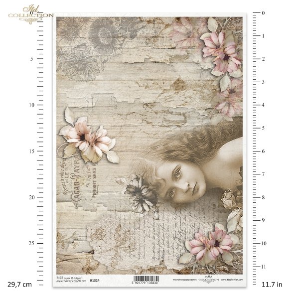 girl, paper flowers in hair, boards, cracked paint, letter, handwriting, cracks, backgroundMädchen, Papierblumen im Haar, Bretter, rissige Farbe, Brief, chica, flores de papel en el pelo, pelo, tableros, pintura agrietada
