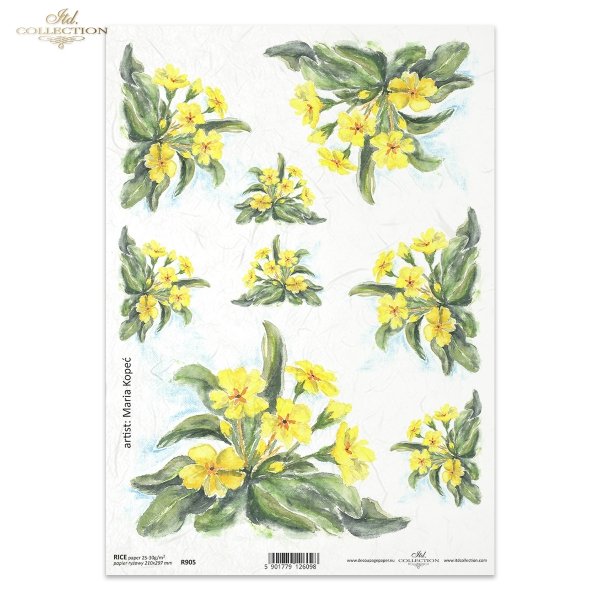 prymulka, prymulki, kwiat, ogród, łąka, wiosna, autorka grafiki Maria Kopeć, R905, primulas, flower, garden, meadow, spring, Primeln, Blume, Garten, Wiese, Frühling, prímulas, flor, jardín, prado, primavera