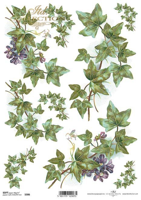 Papír decoupage břečťan, fialky*hiedra papel decoupage, violetas*Papier decoupage Efeu, Veilchen