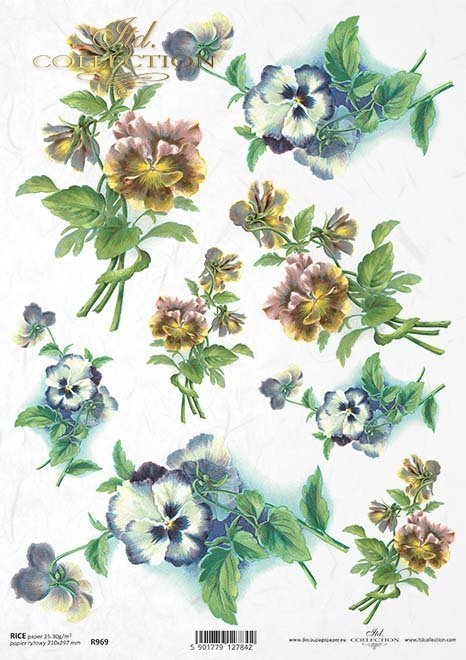 bratki, bratek ogrodowy, fiołek ogrodowy, bukiet, kwiat, łąka, ogród, wiosna, lato, R969, pansies, garden pansy, garden violet, bouquet, flower, meadow, garden, spring, summer, Stiefmütterchen, Gartenstiefmütterchen, Gartenveilchen, Strauß, Blume, Wiese, 