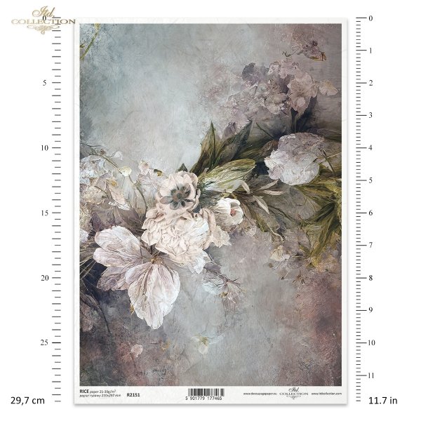 motywy roślinne, motywy kwiatowe, tło, tapeta, kolaż, rośliny, kwiat, kwiaty, bukiet, floral motifs, flower motifs, background, wallpaper, collage, plants, flower, flowers, bouquet, Blumenmotive, Hintergrund, Wallpaper, Collage, Pflanzen