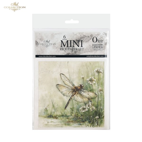 Akwarele, owady, ważka, motyl, chrząszcz, botaniczne, natura, ziemia*Watercolors, insects, dragonfly, butterfly, beetle, botanical, nature, earth