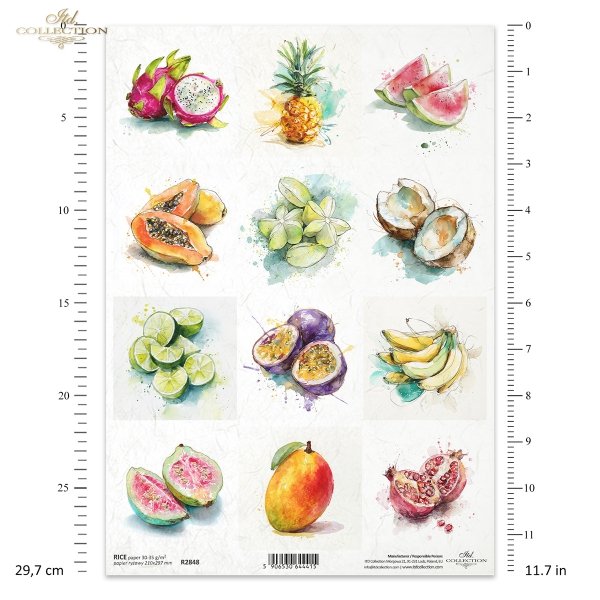 marakuja, arbuz, pitaja, papaja, granat, guawa, akwarela, limonka, ananas, kokos, karambola, banan, mango