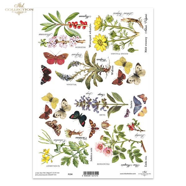 jaskółcze ziele, szałwia, dzika róża, zioła, motyle, łąka, rośliny, Wulfenia, Wawrzynek wilczełyko, mezereum, Miłek wiosenny*swallow-wort, sage, wild rose, herbs, butterflies, meadow, plants, Wulfenia, wolfsbane, mezereum, spring lovage*salvia, rosa silve