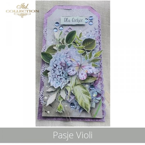 20190620-Pasje Violi-SCRAP-013 - example 03