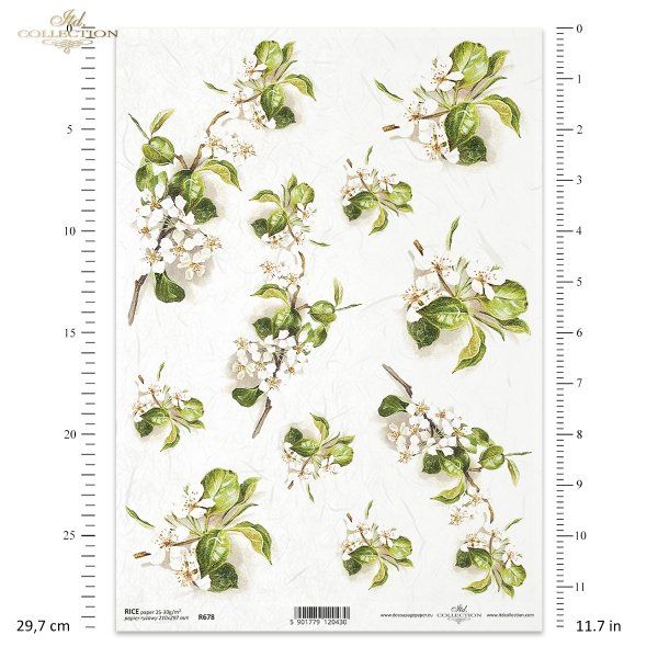 kwiat jabłoni, kwitnąca jabłoń, drzewo owocowe, wiosna, R678, apple blossom, blossoming apple tree, fruit tree, spring, Apfelblüte, blühender Apfelbaum, Obstbaum, Frühling, manzano en flor, manzano en flor, árbol frutal, primavera