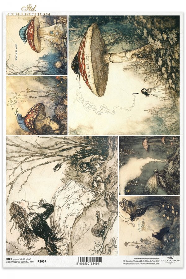 Alicja, dziewczynka, grzyb, muchomor, gąsienica, ćma, motyle*Alice, girl, mushroom, toadstool, caterpillar, moth, butterflies*Alice, Mädchen, Pilz, Fliegenpilz, Raupe, Motte, Schmetterlinge*Alicia, niña, seta, seta, oruga, polilla, mariposas