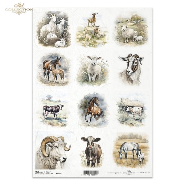 zwierzęta gospodarskie, owca, owce, owieczka, owieczki, koń, konie, źrebak, koza, kozy, krowa, krowy, Early Spring, farm animals, sheep, horse, horses, foal, goat, goats, cow, cows, Nutztiere, Schafe, Pferd, Pferde, Fohlen, Ziege