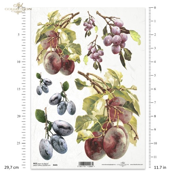 fruit, plum, prune, plum tree, branches, leaves
