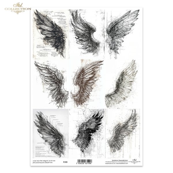 Grafiki, skrzydła, anioły, pióra, szkice, czarno-białe * Graphics, wings, angels, feathers, sketches, black and white.