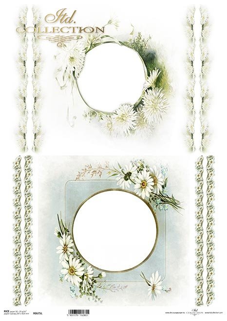 ramki, szlaczki, dekory, stokrotki, kwiaty astry, aster chiński, białe kwiaty*frames, slides, decors, daisies, asters, Chinese asters, white flowers