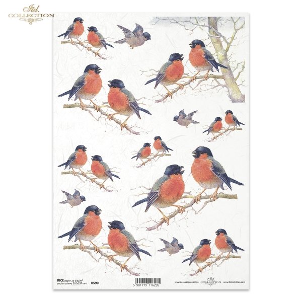 ptak, ptaki na gałęzi, ptaszek, ptaszki, gil, zima, R590, birds on a branch, bird, winter,  pájaros en una rama, pájaro, invierno, Vögel auf einem Zweig, Vogel, Vögel, Winter