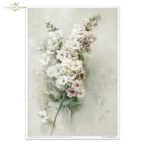 Conjunto Creativo RP104 Written in Flowers