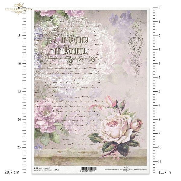retro, ręczne pismo, list, tło, kwiat, róża, róże, dekor, ornament, R707, retro, handwriting, letter, background, flower, rose, decor, ornament, Retro, Handschrift, Brief, Hintergrund, Blume, Rose, Dekor, Ornament, retro, escritura, letra, fondo, flor, ro