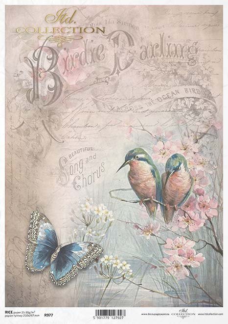 Papel Decoupage Arroz R2031 - Serie In love - Delicados fondos rosas,  azules, morados, beiges, texturas, grietas y hendiduras y a esto pájaros,  flore