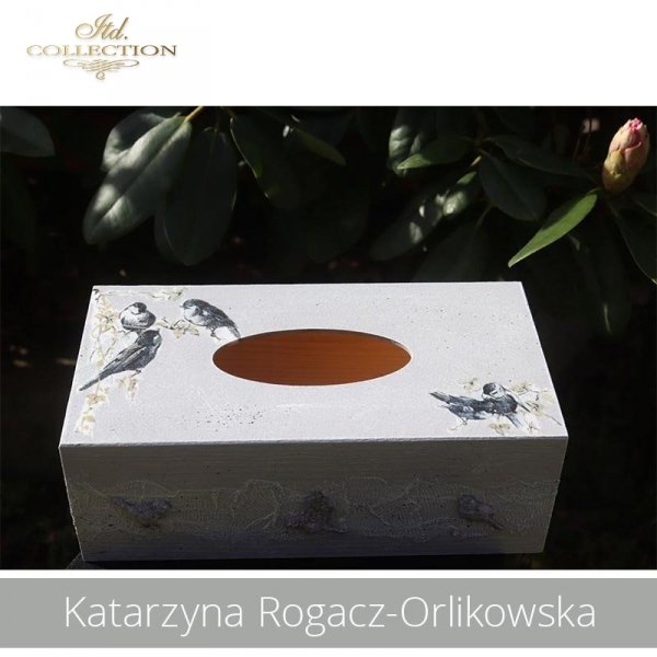 20190505-Katarzyna Rogacz-Orlikowska-R0201-example 02