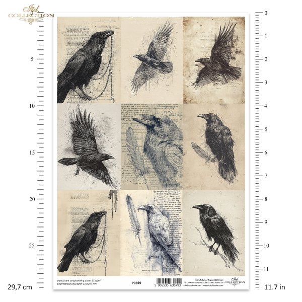Grafiki, kruki, wrony, ptaki, szkice, czarno-białe*Graphics, ravens, crows, birds, sketches, black and white