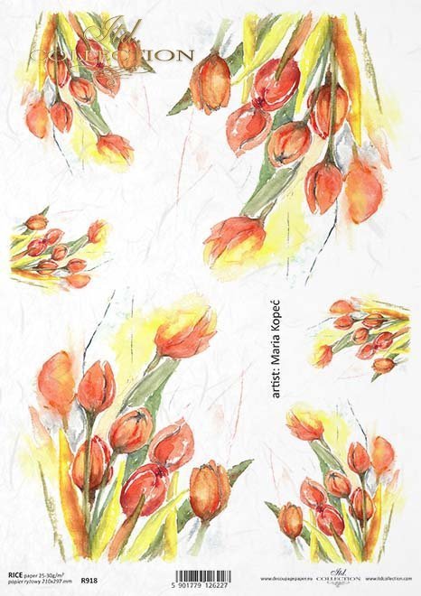 tulipan, kwiat, ogród, łąka, wiosna, autorka grafiki Maria Kopeć, R918, flower, garden, meadow, spring, Blume, Garten, Wiese, Frühling, flor, jardín, prado, primavera, tulipán, Tulpe, tulip
