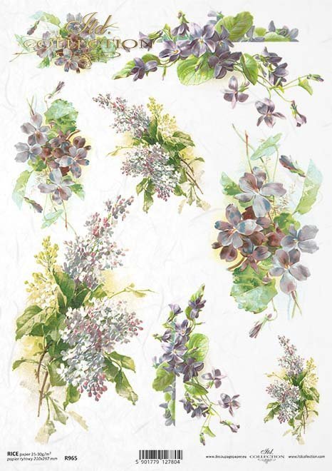 bez, bzy, bzu, fiołek, fiołki, bukiet, kwiat, łąka, ogród, lato, R965, lilac, lilacs, violet, violets, bouquet, flower, meadow, garden, summer, Flieder, Veilchen, Strauß, Blume, Wiese, Garten, Sommer, lila, lilas, violeta, violetas, ramo, flor, prado, jar