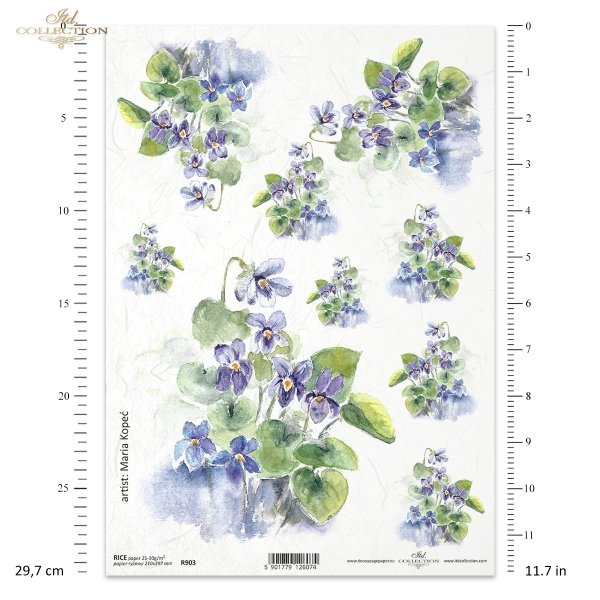 fiołek, fiołki, kwiat, ogród, łąka, wiosna, autorka grafiki Maria Kopeć, R903, violet, flower, garden, meadow, spring, Veilchen, Blume, Garten, Wiese, Frühling, violeta, violetas, flor, jardín, prado, primavera