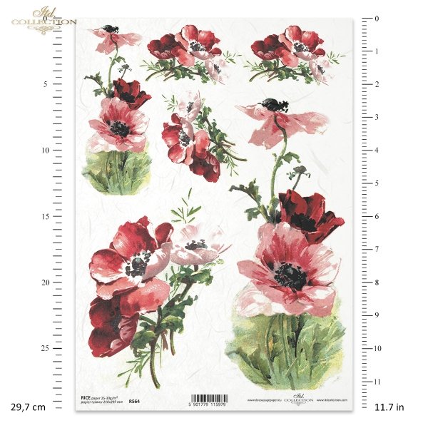 maki, mak, łąka, pole, ogród, polne kwiaty, polne maki, kwiat, kwiaty, kwiatek, kwiatki, lato, R564, poppies, poppy, meadow, field, garden, field flowers, field poppies, flower, summer, Mohn, Wiese, Feld, Garten, Feldblumen, Feldmohn, Blume, Sommer, amapo