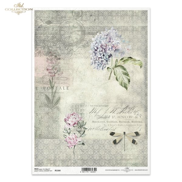 retro, kwiaty, hortensja, hortensje, ogród, łąka, ważka, ważki, ornament, stare napisy, zegarek, flowers, hydrangeas, garden, meadow, dragonfly, dragonflies, ornament, old lettering, watch, Blumen, Hortensien