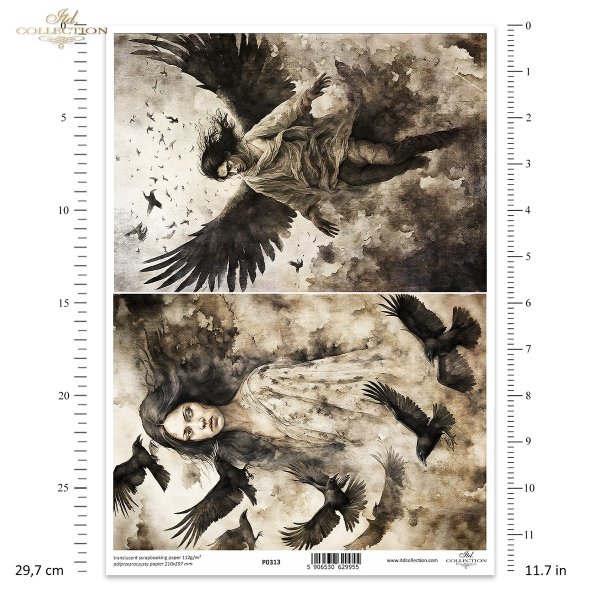 demons, transformation, woman, women, man, ravens, crows, rooks, birds, evil, mystery, wing, wings, Schwarz &amp; Weiß, Dämonen, Verwandlung, Frauen, Mann, Raben, Krähen, Vögel, böse, Geheimnis, Flügel