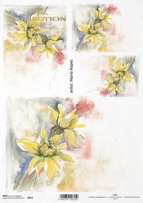 kwiat, ogród, łąka, wiosna, autorka grafiki Maria Kopeć, R911, flower, garden, meadow, spring, Blume, Garten, Wiese, Frühling, flor, jardín, prado, primavera